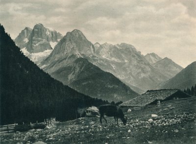 Utsikt over Brenta-gruppen med alpebeite, Madonna di Campiglio, Dolomittene, Italia, 1927 av Eugen Poppel