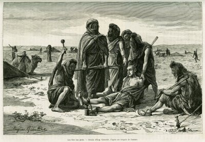 Den vil gå på beina. Gravering av Eugene Girardet, for å illustrere historien Cinq mois chez les moures nomades du Sahara occidental, i 1887, av Camille Douls, i le tour du monde 1888, under ledelse av Edouard Charton (1807-1890), Hachette, Paris. av Eugene Alexis Girardet