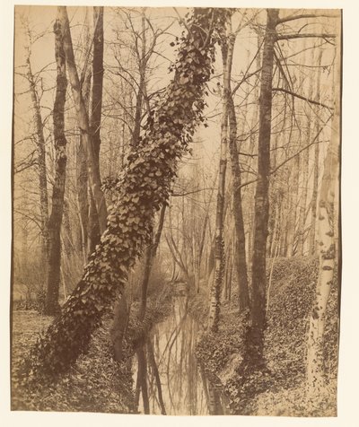 Bièvre, Boulevard d
