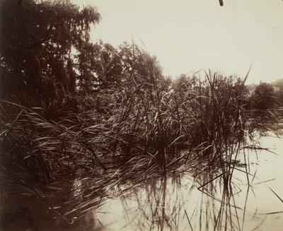  av Eugène Atget