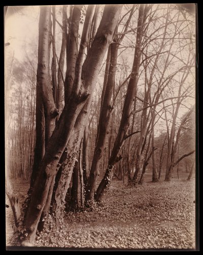  av Eugène Atget