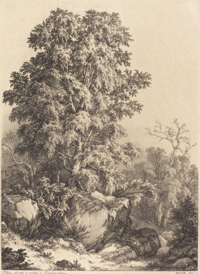 Beech Grove av Eugene Bléry