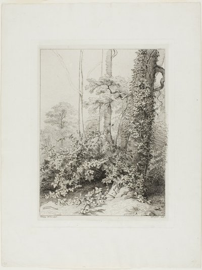 Bramble og Ivy av Eugene Bléry