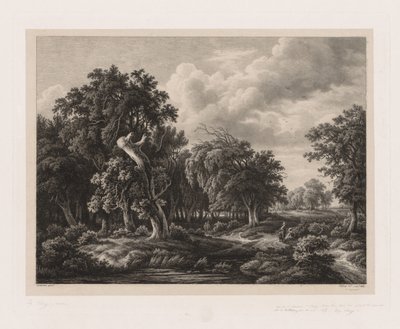 Grupper av forskjellige planter tegnet etter naturen: nr. 7 av Eugene Bléry