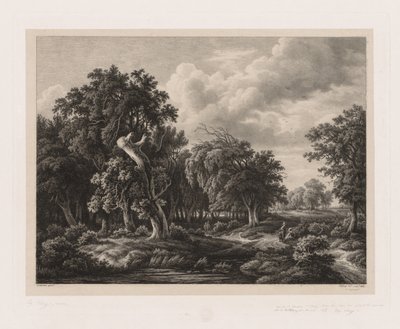 Grupper av forskjellige planter tegnet etter naturen: nr. 7, 1855. av Eugene Bléry