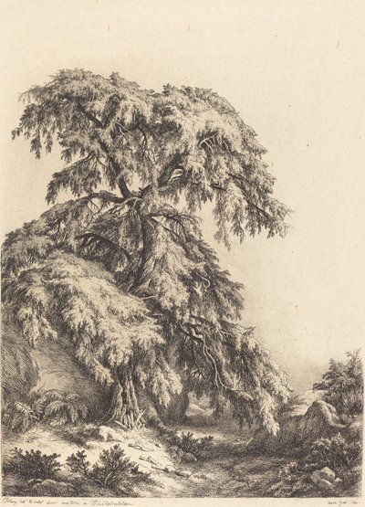 Einertre av Eugene Bléry