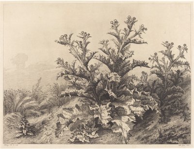 Stor tistel, 1843. av Eugene Bléry