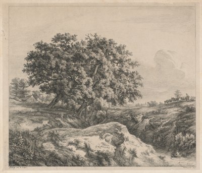 Eiketre ved en ravine av Eugene Bléry