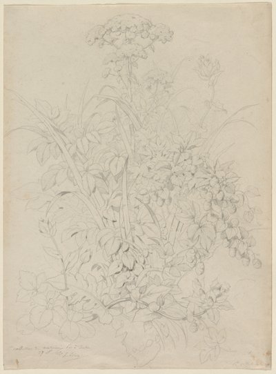 Plantestudie, 1857. av Eugene Bléry