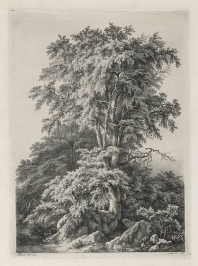Studier tegnet og gravert etter naturen: Stranden, Fontainbleau..., 1840. av Eugene Bléry