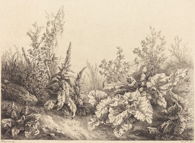 Studie av en burdock av Eugene Bléry