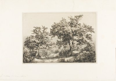 The Two Oaks, Fontainebleau av Eugene Bléry
