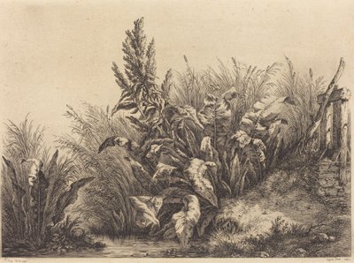 Vannhavn av Eugene Bléry