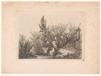 Waterzuring en riet aan de oever Vann tålmodighet ved den lille ventilen Studier tegnet og gravert fra naturen (...) (serietittel) av Eugene Bléry