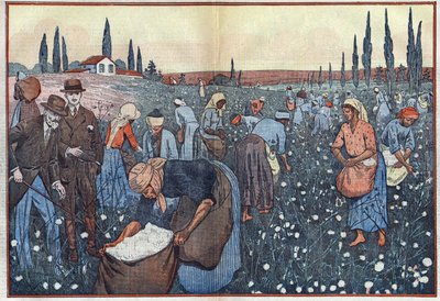 Bomullsavlingen, nær Orleanville, i Chelif-dalen, Algerie. Illustrasjon av Damblans. I "" Le Pelerin"" av 23. februar av Eugene Damblans