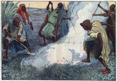 Ødeleggelsen av gresshopper i Algerie: araberne brenner dem under rop og betenkeligheter. Illustrasjon av Damblans. I "" Le Pelerin"" av 4. juli av Eugene Damblans