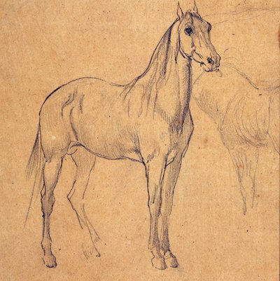Studie av en hest av Eugène Fromentin