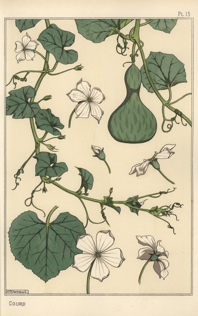 Botanisk illustrasjon av kalebassen av Eugene Grasset