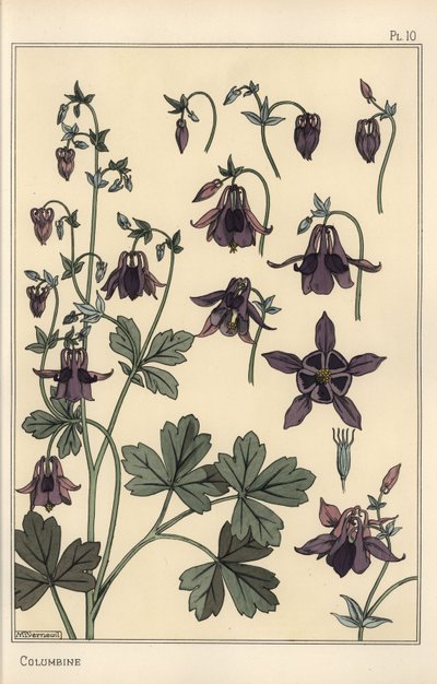 Akeleie, Aquilegia vulgaris, blomsterdeler av Eugene Grasset
