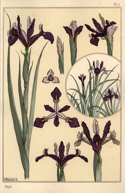 Irisplante og blomsterdeler, med innfelt av Eugene Grasset
