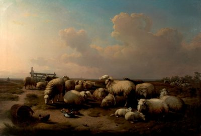 Sauen av Eugene Joseph Verboeckhoven