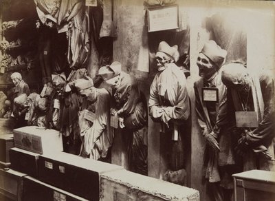 Katakombene, Kapusinerklosteret, Palermo, ca. 1895. av Eugenio Interguglielmi