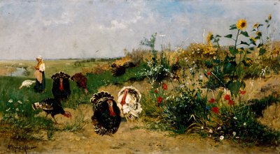 Kalkuner av Eugenio Spreafico