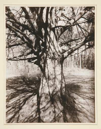 Bøk av Eugène Atget