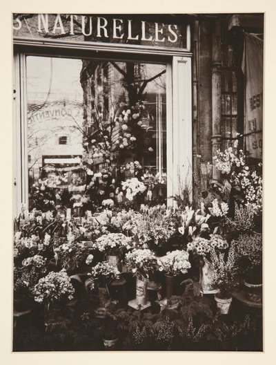 Blomsterbutikk -37 (blomsterbutikk) av Eugène Atget
