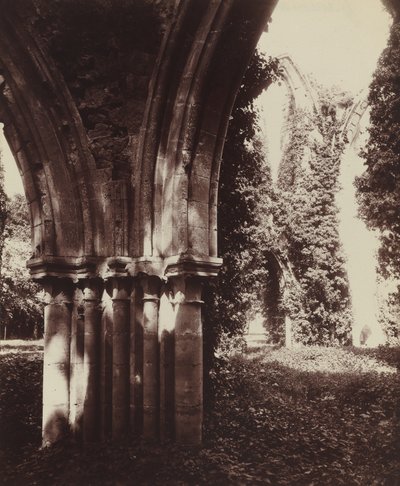 Dammarie-les-Lys, ruiner av Eugène Atget