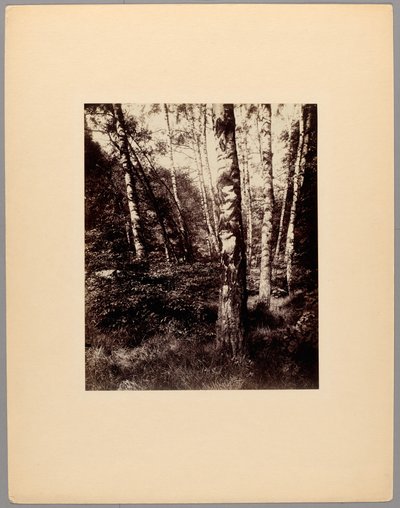  av Eugène Atget