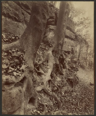  av Eugène Atget
