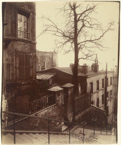 Trapp, Montmartre, 1921. av Eugène Atget