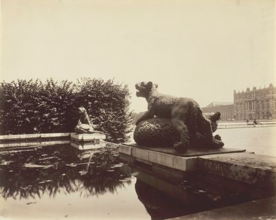 Versailles, Fontaine du Point du Jour, Tiger Slaying a Bear av Houzeau, 1903. av Eugène Atget