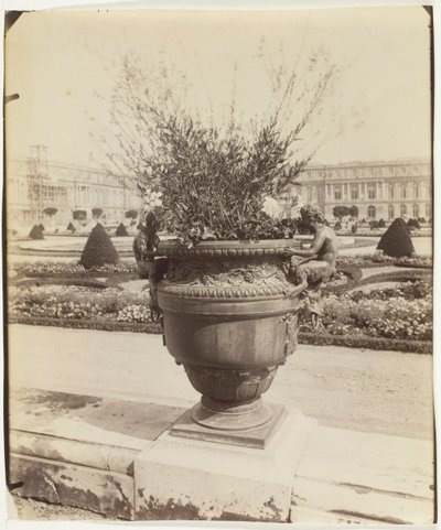 Versailles, Vase av Ballin, 1902. av Eugène Atget