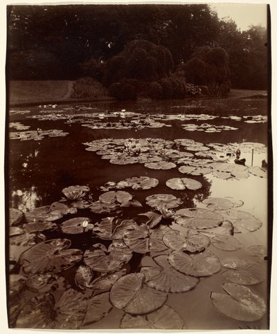  av Eugène Atget