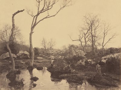 Vakkert kors, ca. 1858. av Eugène Cuvelier