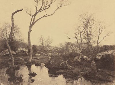  av Eugène Cuvelier