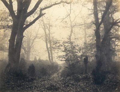 [Fontainebleau Forest], tidlig på 1860-tallet. av Eugène Cuvelier