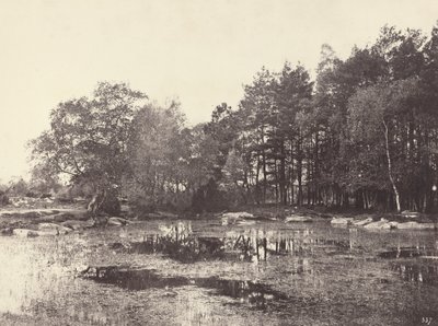 Myr ved Piat Belle-Croix-platået, ca. 1863. av Eugène Cuvelier