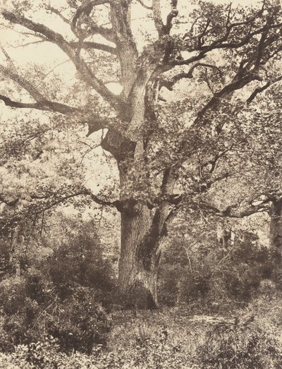 Nær Bodmer, 1860-tallet. av Eugène Cuvelier