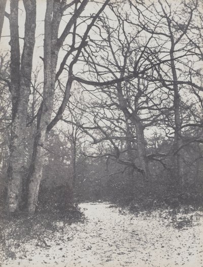 Vei i skogen, 1860-1863. av Eugène Cuvelier