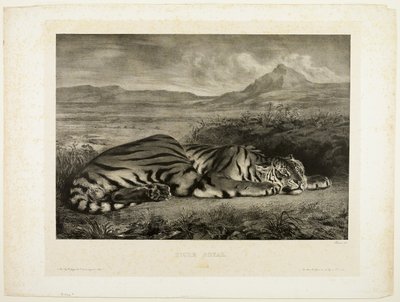 Bengal tiger av Eugène Delacroix