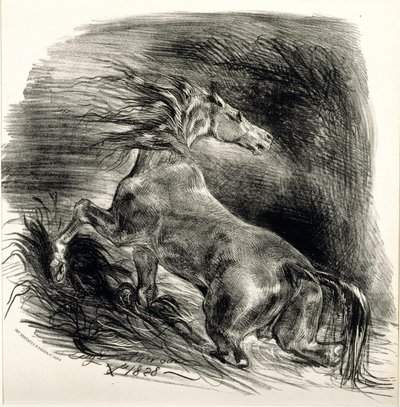 Villhest av Ferdinand Victor Eugene Delacroix