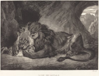 Løve av Atlasfjellene (Lion de l