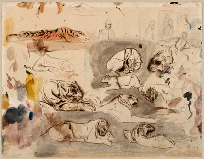 Skisser av tigre og menn i kostyme fra 1500-tallet av Eugène Delacroix