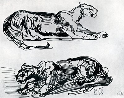 Studier av pantere, 1913 av Ferdinand Victor Eugene Delacroix