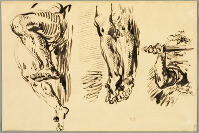 Studie av armer og ben til Kristus korsfestet av Eugène Delacroix