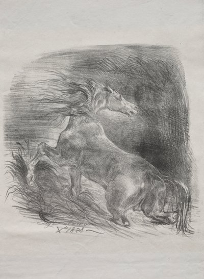 Villhesten, eller skremt hest som forlater vannet av Eugène Delacroix