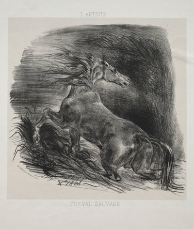 The Wild Horse, or Frightened Horse Leaving the Water   1308089   no       norwegian Successfully Translated  Original: The Santa Maria Approaching the Coast of the New World in 1492, from The Discovery of America, pub. Barcelona Translat: The Santa Maria  av Eugène Delacroix